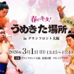 春がキタ！うめきた場所 in グランフロント大阪2026｜3月1日（日）グランフロント大阪で開催、都市型相撲イベント